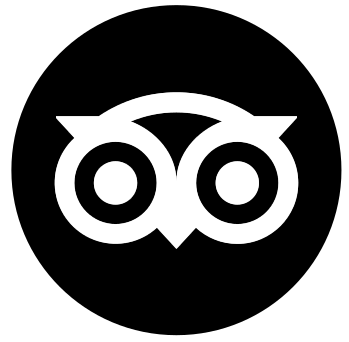 TripAdvisor Icon